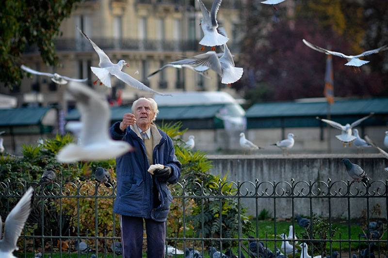 Photographer in Paris  (9)