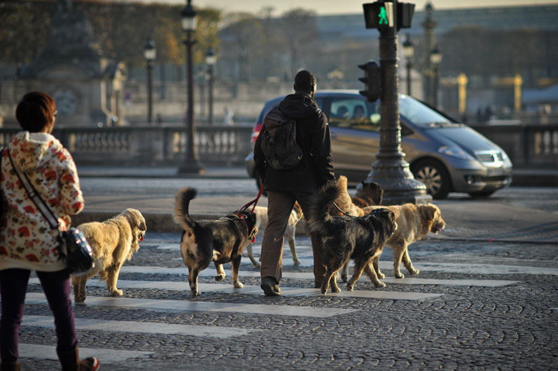 Photographer in Paris  (16)