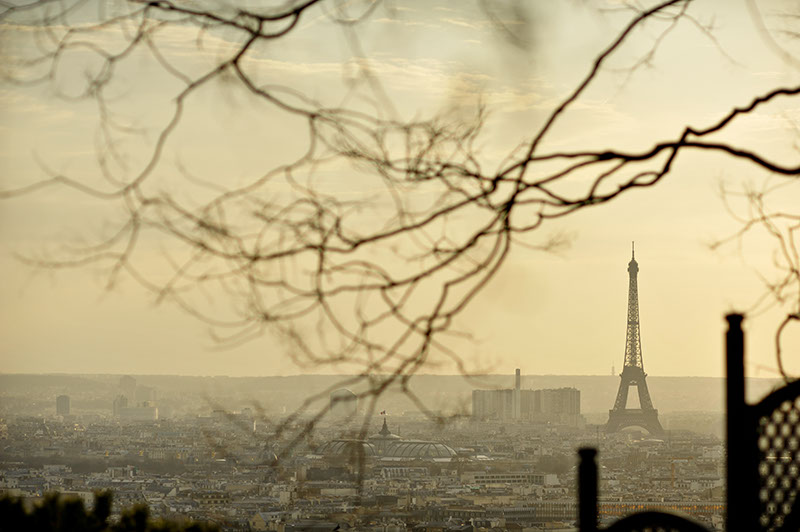 The Paris skyline at sunset, view the Eiffel Tower through the trees